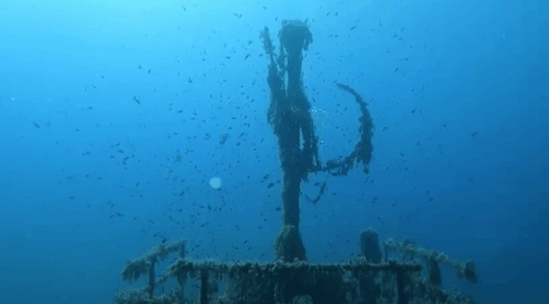 Palma de Mallorca: PADI Open Water Diver Course - Key Points