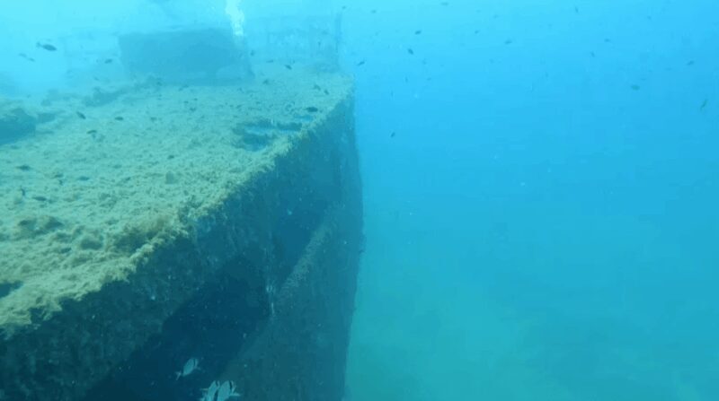 Palma de Mallorca: PADI Open Water Diver Course - Detailed Review of the Palma de Mallorca PADI Open Water Diver Course