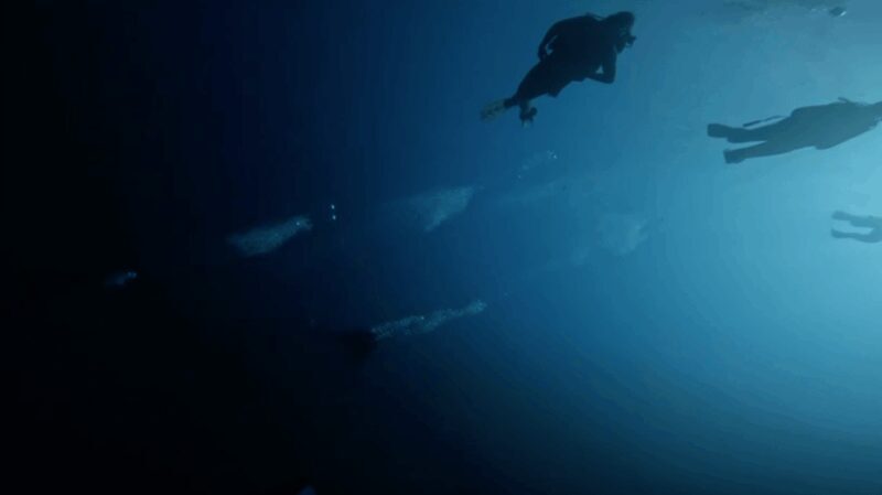 Palma de Mallorca: PADI Open Water Diver Course - The Sum Up