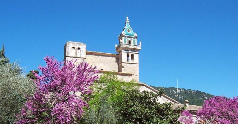 Palma de Mallorca: Palma and Valldemossa free time - What You Can Expect from This Tour