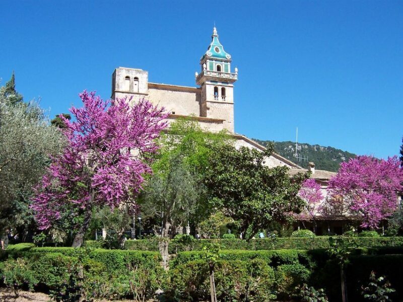 Palma de Mallorca: Palma and Valldemossa free time - Authentic Experiences You Might Cherish