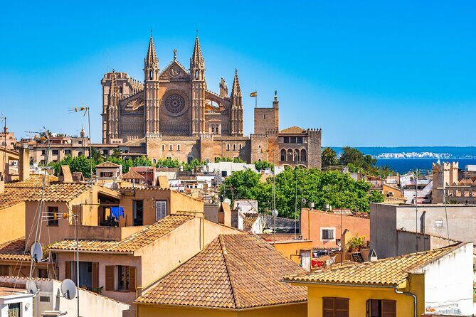 Palma de Mallorca : Private Custom Walking Tour with A Guide - What You Need to Know Before Booking