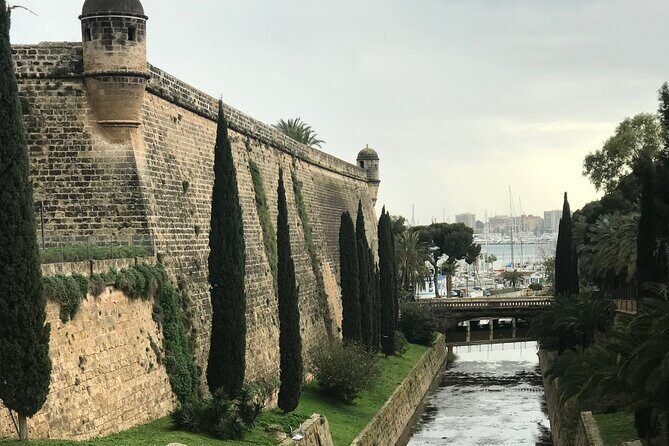 Palma de Mallorca: PRIVATE Local Food And Cathedral Experience - Why This Tour is a Great Choice