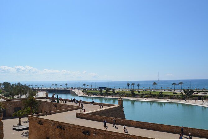 Palma de Mallorca Shore Excursion Bike Tour (Transfer Included) - Who Should Consider This Tour?