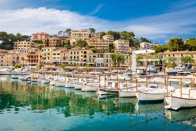 Palma de Mallorca Shore Excursion: Palma, Deia and Sa Foradada - What Makes This Tour Stand Out