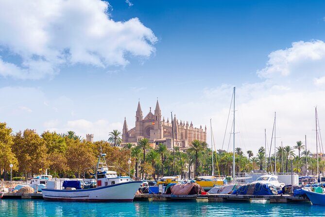 Palma de Mallorca Sightseeing Day Tour - What’s Included and What’s Not