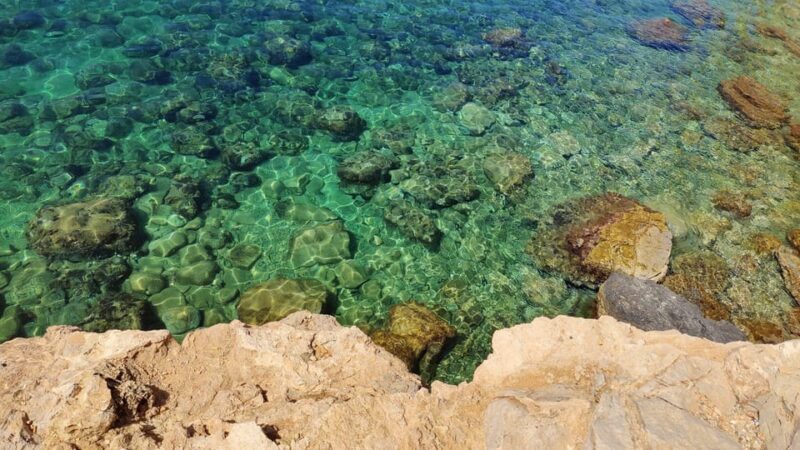 Palma de Mallorca: SmallGroup Tour by Locals in Hidden Coves - Practical Tips for the Tour