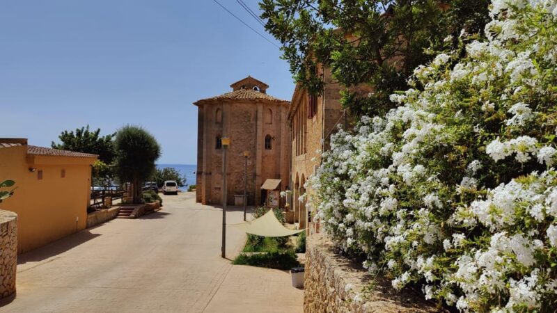 Palma de Mallorca: SmallGroup Tour by Locals in Hidden Coves - Authentic Experiences from Reviews