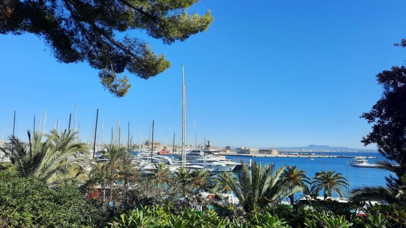 PALMA DE MALLORCA & SOLLER MIT BAHN & STADTFÜHRUNG ab Palma - The Sum Up