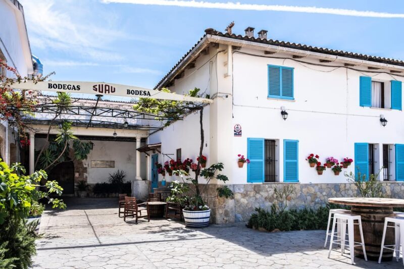 Palma: Distillery Tour with 6 Spirits and Tapas Tasting - Who Will Love This Tour?