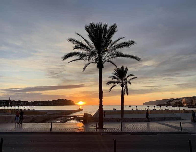 Palma: Electric Mountain Adventure: Ride Higher, Go Farther! - Key Points