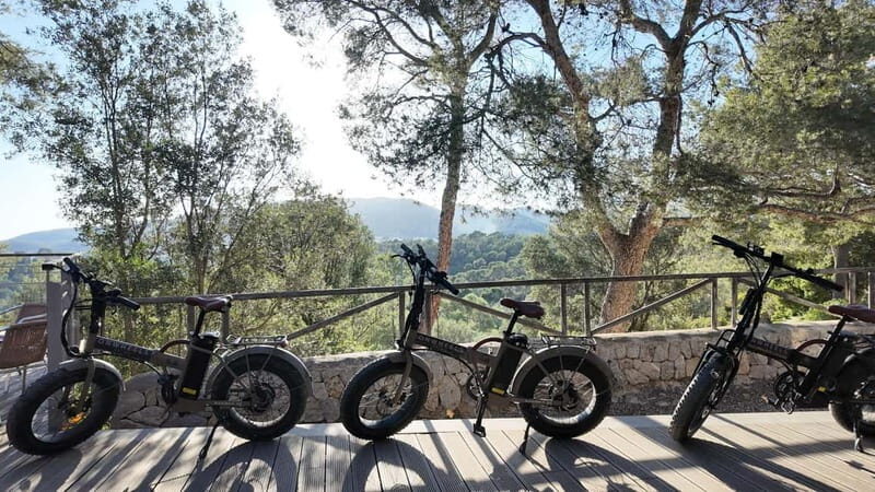Palma: Electric Mountain Adventure: Ride Higher, Go Farther! - An In-Depth Look at the Palma Electric Mountain Adventure