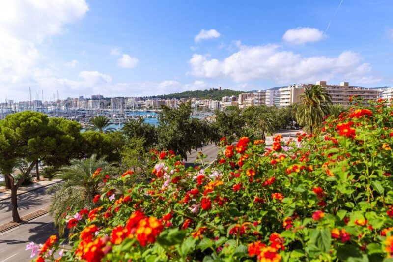 Palma: Express Walk with a Local in 60 minutes - FAQs