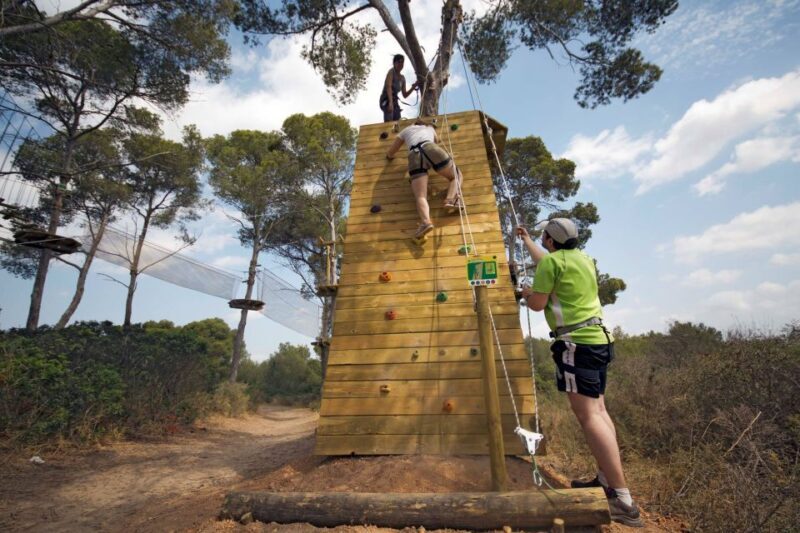 Palma: Family or Sports Course Adventure at Forestal Park - The Courses: An In-Depth Look