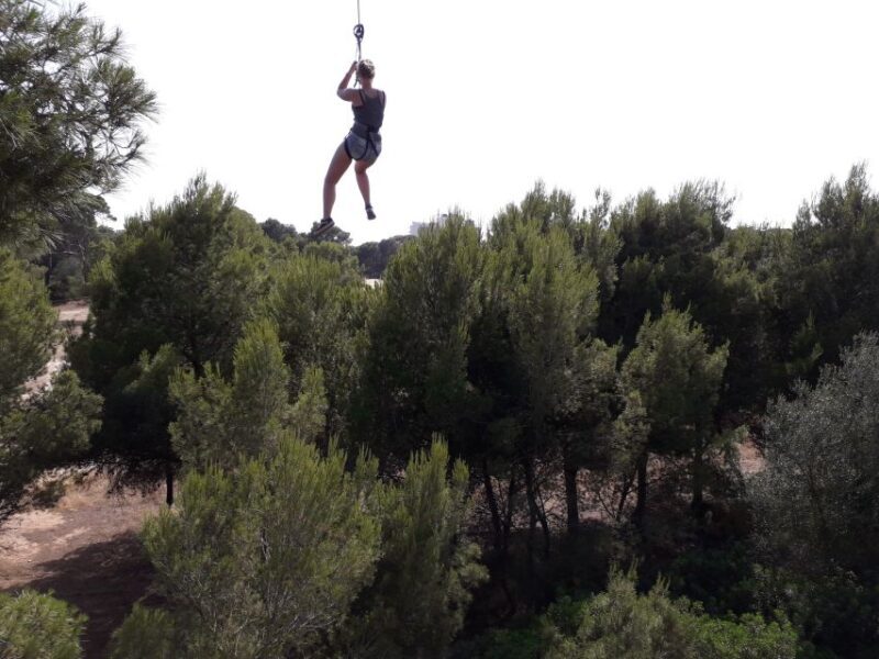 Palma: Family or Sports Course Adventure at Forestal Park - Who Will Love This Experience?