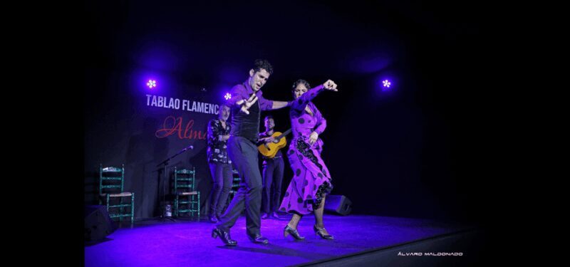 Palma: Flamenco Show at Tablao Flamenco Alma with Drink - What to Expect During the Show