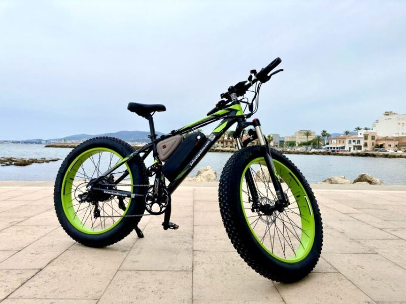 Palma: Guided City Tour with a Fat Tire E-Bike - Key Points