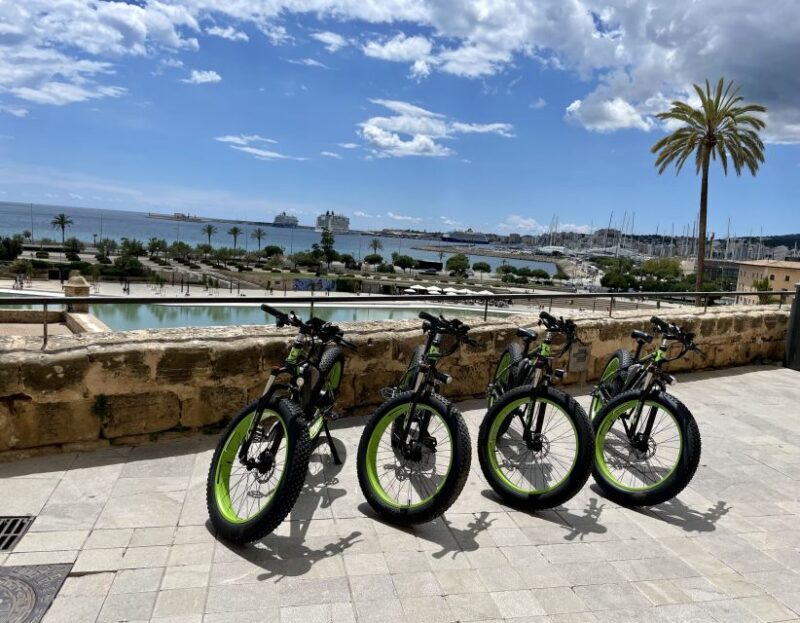 Palma: Guided City Tour with a Fat Tire E-Bike - The Sum Up: Who Is This Tour Best For?