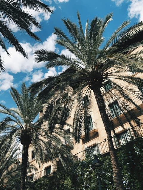 Palma: "History & Beauty" Eco-Friendly E-Scooter Tour - Palma: "History & Beauty" Eco-Friendly E-Scooter Tour — A Practical Guide