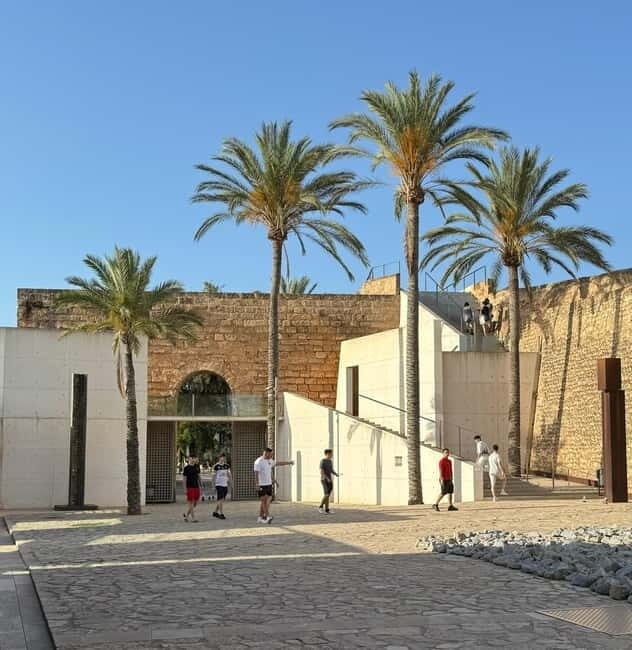 Palma in person and away from the crowds - Value and Practicality