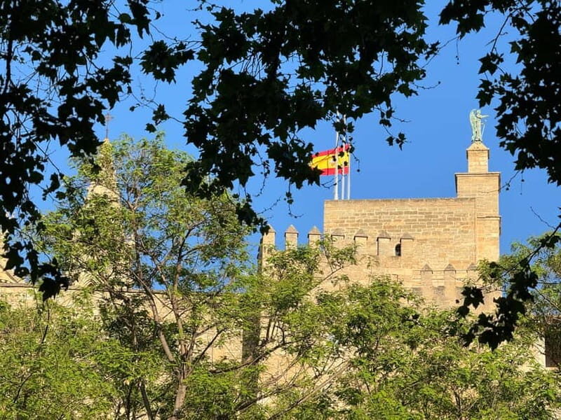 Palma in person and away from the crowds - Reviews and Real Experiences