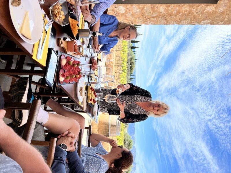 Palma: Orange Farm, Olive Mill, & Winery Tour with Tastings - A Deep Dive Into the Mallorca Orange Valley Tour