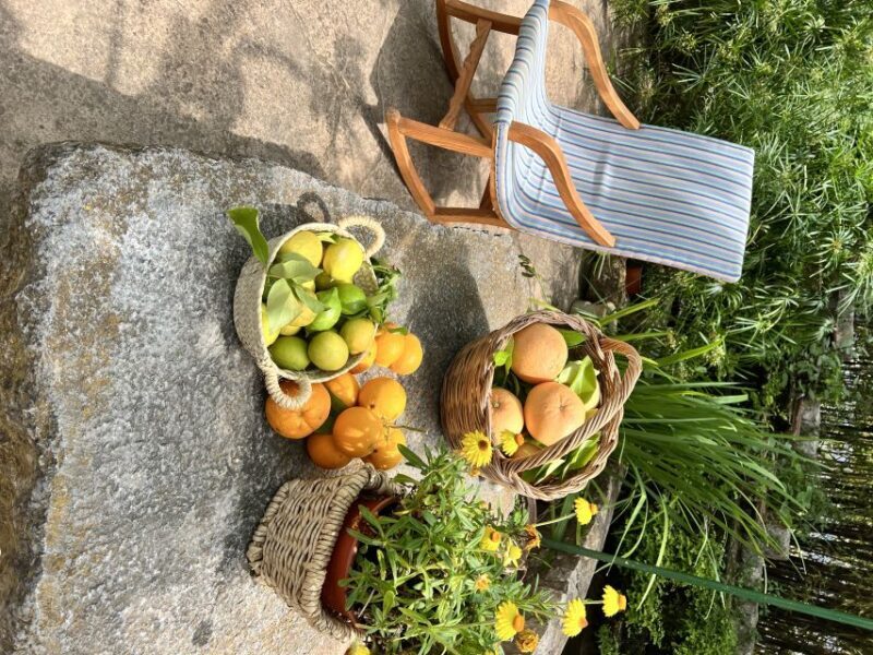 Palma: Orange Farm, Olive Mill, & Winery Tour with Tastings - Who Is This Tour Best For?