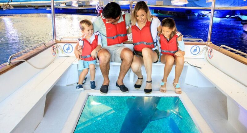Palma: Palma Aquarium Ticket with Transfer Service - Discovering Palma Aquarium: What to Expect