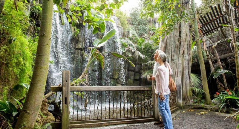 Palma: Palma Aquarium Ticket with Transfer Service - Final Thoughts