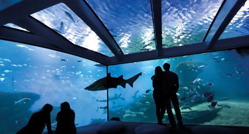 Palma: Palma Aquarium Ticket with Transfer Service - Frequently Asked Questions