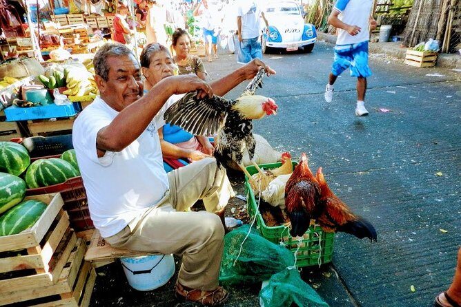 Palma Sola Secrets Petroglyphs Culture & Market Flavors withLunch - What Past Participants Say