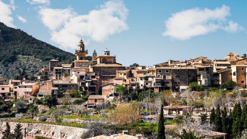 Palma: Tramuntana Full-Day Tour with Sóller Train and Lunch - Value for Money and Overall Impression