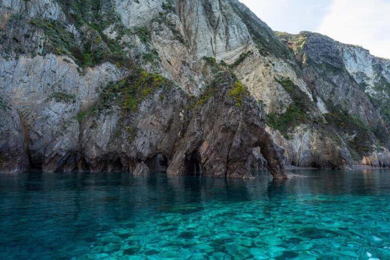 Palmarola: Linea isola di Palmarola - Authentic Experiences and Feedback Highlights