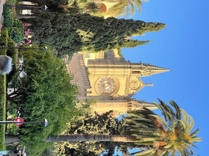 Palmas sightseeing highlights in a private and exclusive way - Who Will Enjoy This Tour?