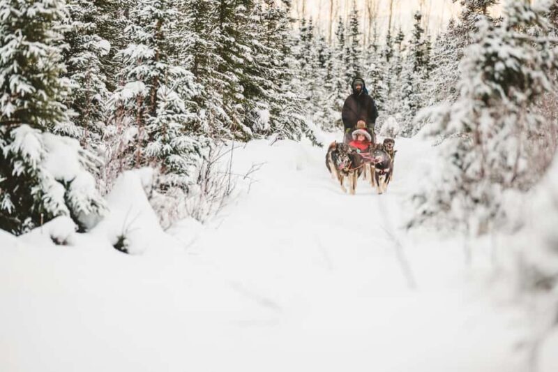Palmer: "Dogs and Glaciers" Sledding and Helicopter Tour - Who Should Book This Tour?