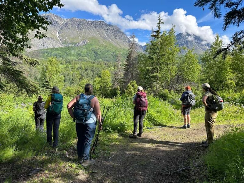 Palmer Hidden Waterfalls Guided Backcountry Hike - The Experience in Action