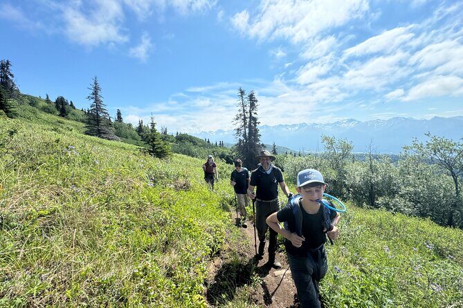 Palmer's Hidden Waterfalls: Full Day Hike - The Sum Up