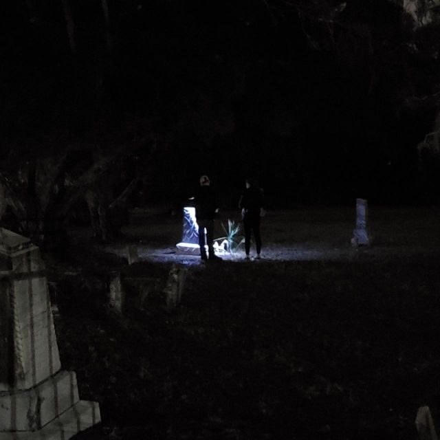 Palmetto: Ghost and Haunted History Tour - Practical details and value