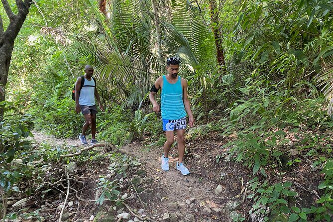 Palo María Waterfalls Hike Half-Day Tour - Who Would Love This Tour?