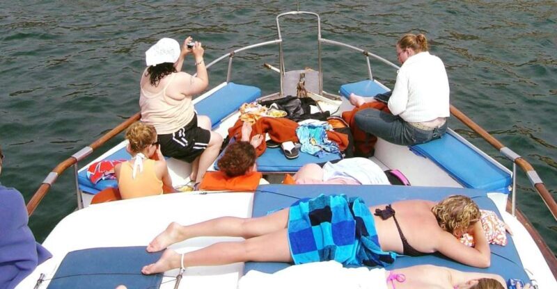 Palomino Islands Yacht Tour and swim alongside the sea lions - Why This Tour Is Worth Considering