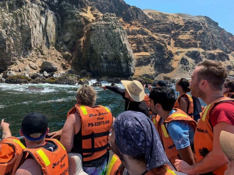 Palomino Islands Yacht Tour and swim alongside the sea lions - Frequently Asked Questions