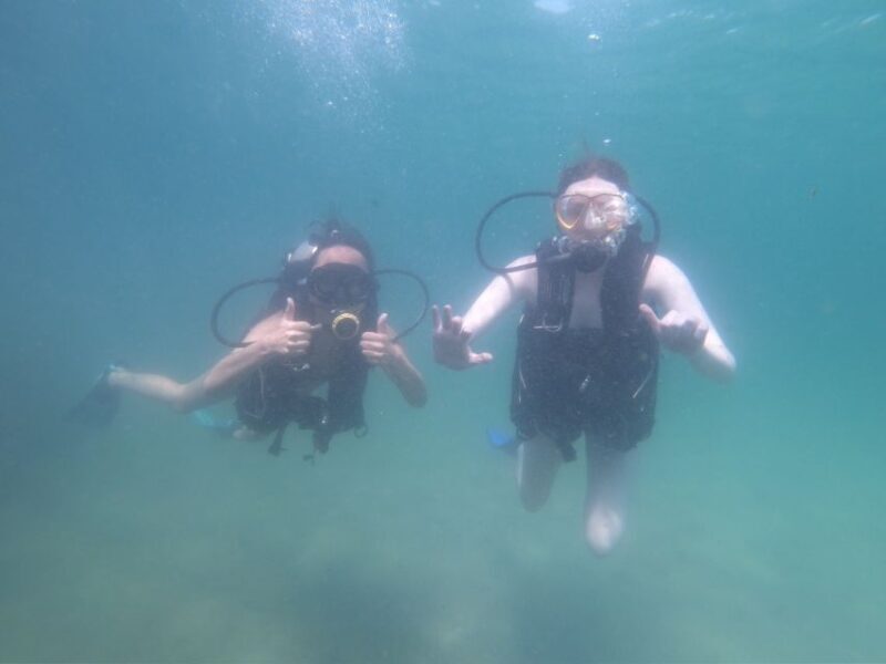 Panama City Beach: Beginners Scuba Diving Tour - Accessibility and Practicalities