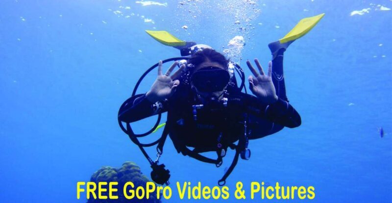 Panama City Beach: Beginners Scuba Diving Tour - The Experience Breakdown