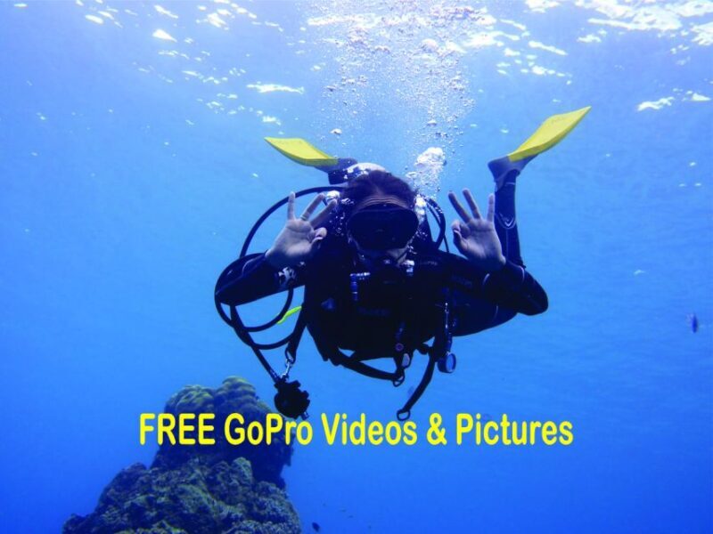 Panama City Beach: Beginners Scuba Diving Tour - Practical Details and Tips
