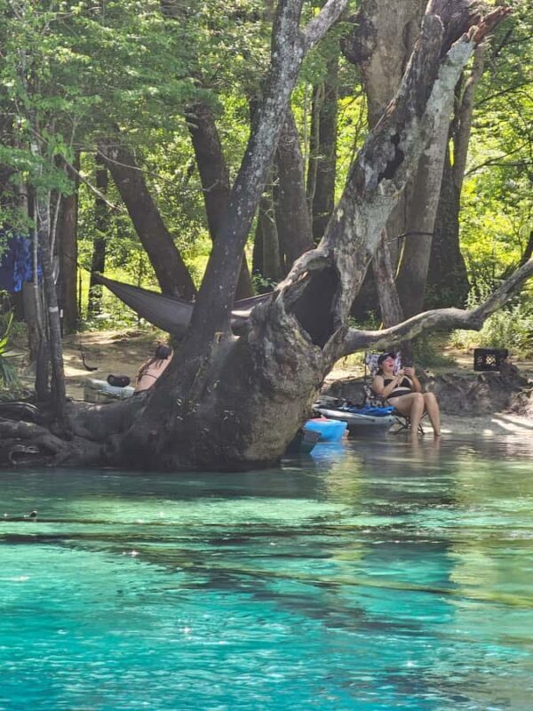 Panama City Beach: Cypress Springs Clear Kayak & Paddle Tour - Key Points