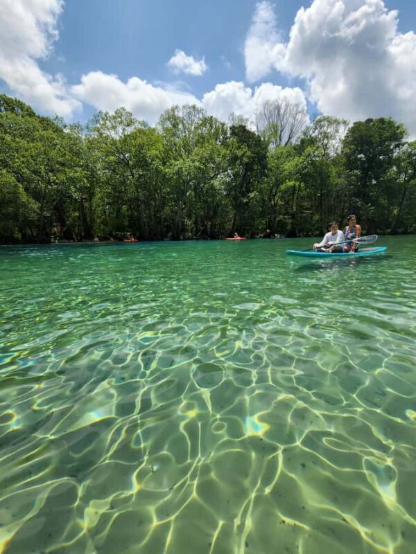 Panama City Beach: Cypress Springs Clear Kayak & Paddle Tour - An Authentic Florida Nature Experience