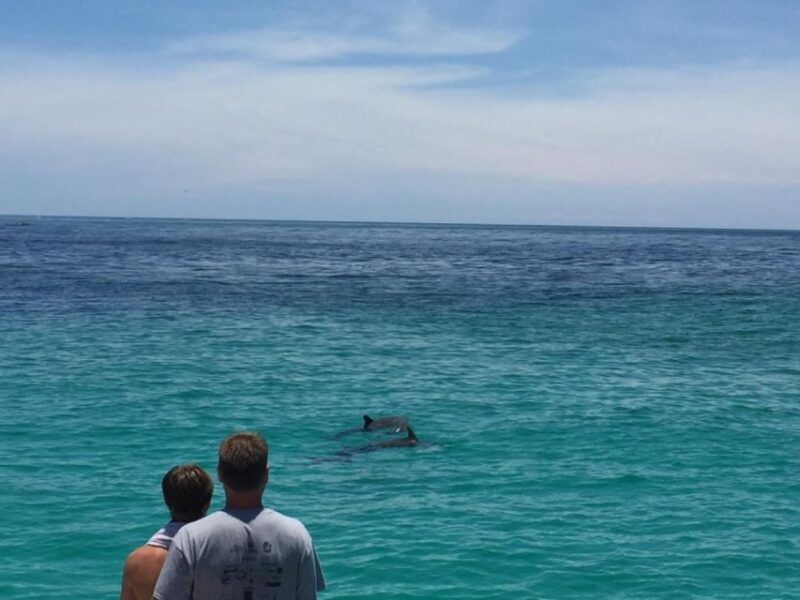 Panama City Beach: Dolphin Sightseeing Sail on the Footloose - FAQ