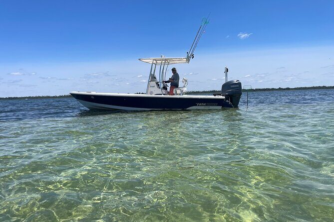Panama City Beach Florida, Dolphin, Shell Island and Eco Tours - Exploring Panama City Beach’s Waterways: A Private Dolphin, Shell Island, and Eco Tour