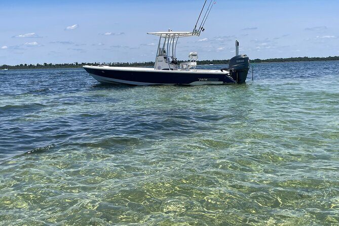 Panama City Beach Florida, Dolphin, Shell Island and Eco Tours - Key Points