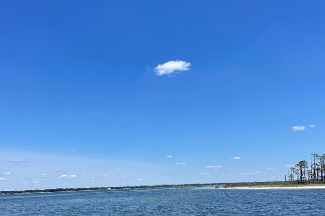 Panama City Beach Florida, Dolphin, Shell Island and Eco Tours - Final Thoughts